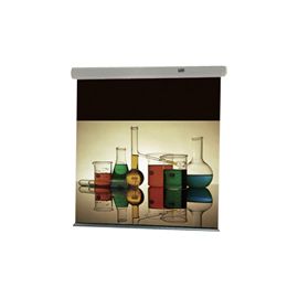 Draper Luma 2 Heavy-duty Projector Screen