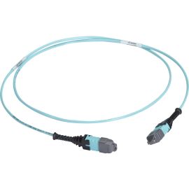 Black Box MTP OM3 Fiber Optic Trunk Cable - Plenum, 24-Strand, Type A