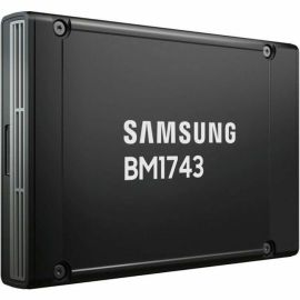 THINKSYSTEM 2.5IN U.2 BM1743 122.88TB READ INTENSIVE NVME PCIE