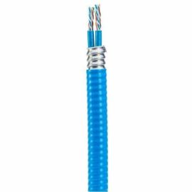 CAT6A 2X4P 23AWG U/UTP ARMOR