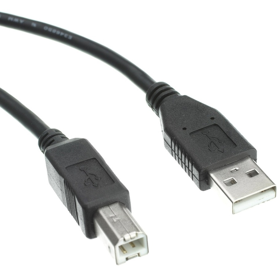 Accortec USB 2.0 Type-A to Type-B Cable M/M 3ft