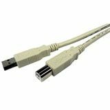 Cables Unlimited 6ft USB 2.0 Beige A to B Cable