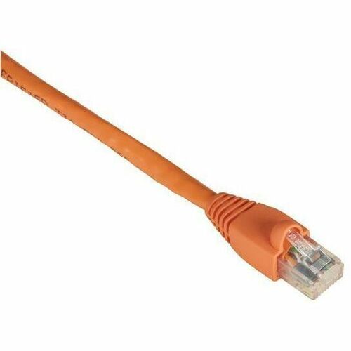 Black Box GigaTrue Cat.6 UTP Patch Network Cable